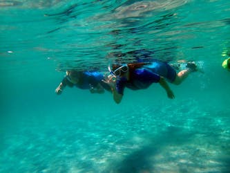 Viagem de mergulho com snorkel na Ilha Tabarca saindo de Santa Pola